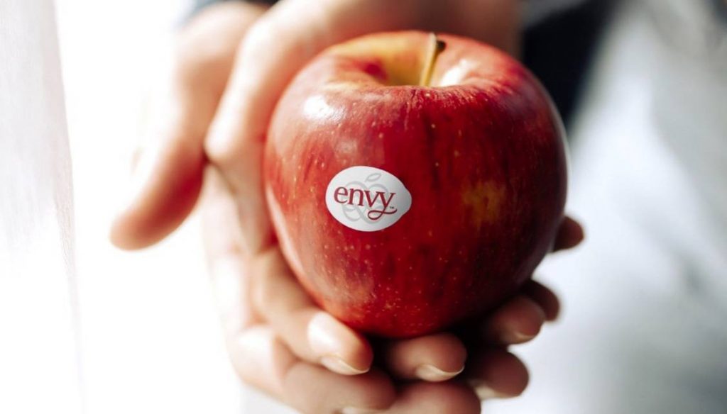 BayWa GP Portfolio Brands Envy Success Selected Apples