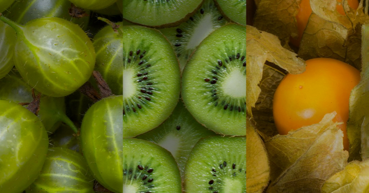 A closer look at gooseberries - BayWa GP